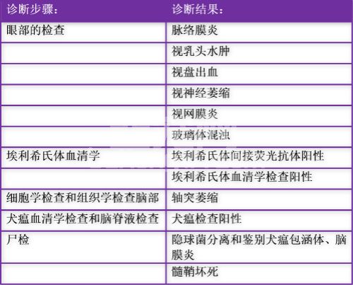 视神经炎的相关知识