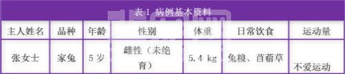 一例宠物兔膀胱结石的诊断和治疗