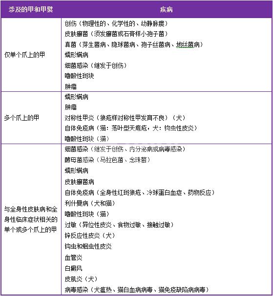 犬猫甲及甲襞疾病的诊断与治疗