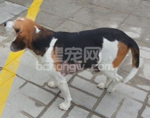 几种疑难病的中西结合病例分析