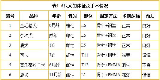 犬脊椎骨折的手术治疗