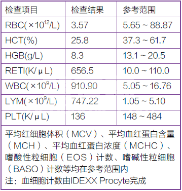 犬慢性淋巴细胞性白血病病例报告