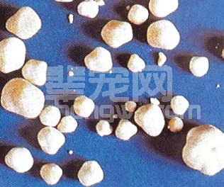 遗传学与尿结石—遗传性尿结石和尿石症分析