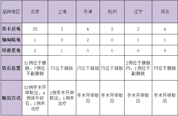 60例宠物陆龟结石的诊治报告