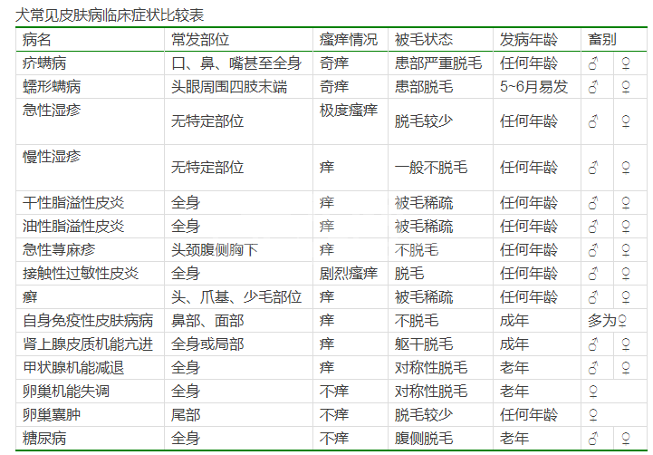 犬常发皮肤病的鉴别诊断