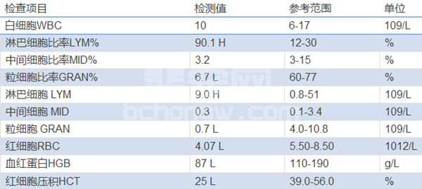 一例犬脾脏肿瘤的诊治