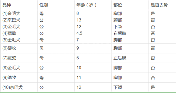 临床10例犬皮下肿瘤的诊断