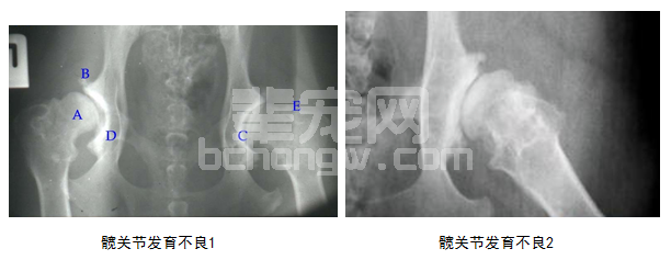 遗传繁殖学（五）—— 遗传学基础知识