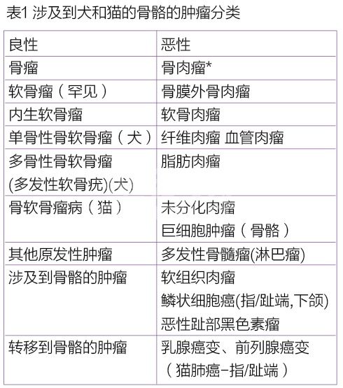骨骼和软骨的肿瘤