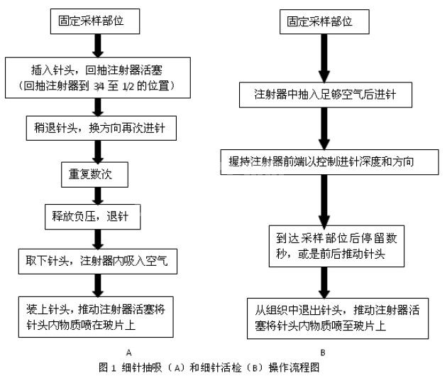 肿瘤的病理采样与诊断