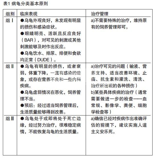 龟病临床诊断技术