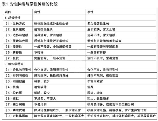 犬猫肿瘤的临床诊疗技术