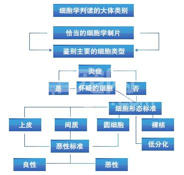 皮肤肿瘤的细胞学诊断：潜能和局限性
