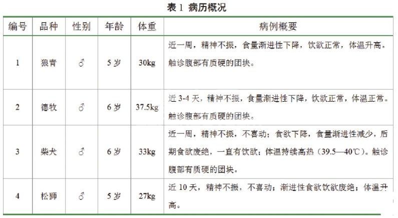 超声诊断犬单纯性脾扭转