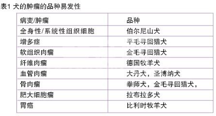 肿瘤生物学（一）