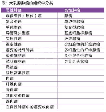 犬乳腺肿瘤