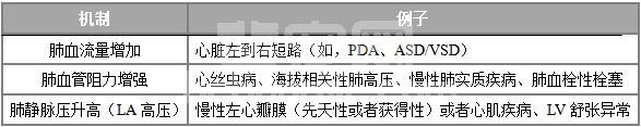 犬肺动脉高压综述（一）