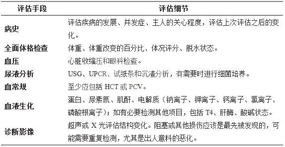 猫慢性肾衰的诊断和管理（一）