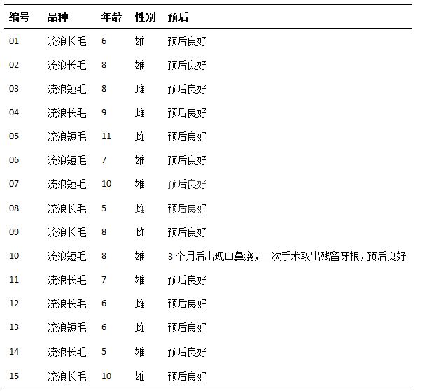 15例流浪猫口炎的拔牙治疗体会