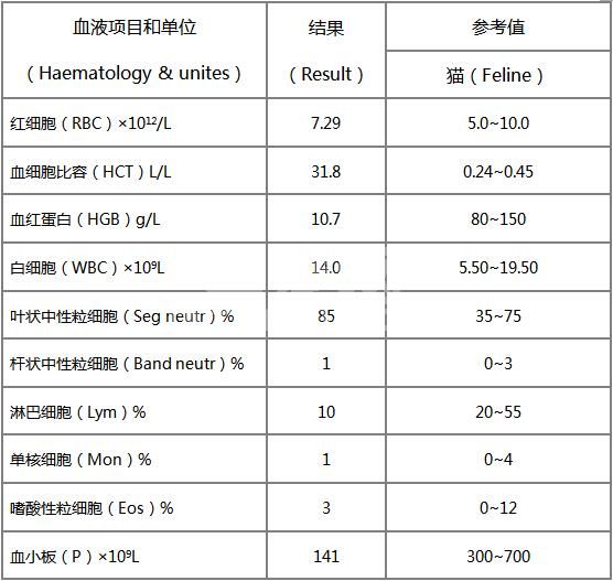 一例猫透析后失衡综合征的病例报道