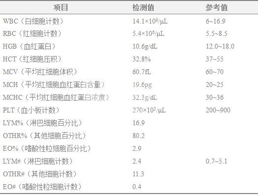 一例犬胰外分泌不足的诊治