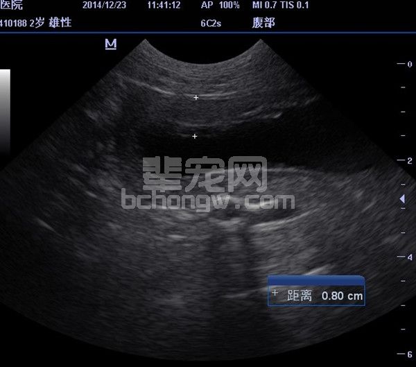 犬泌尿道近平滑念珠菌感染的诊治