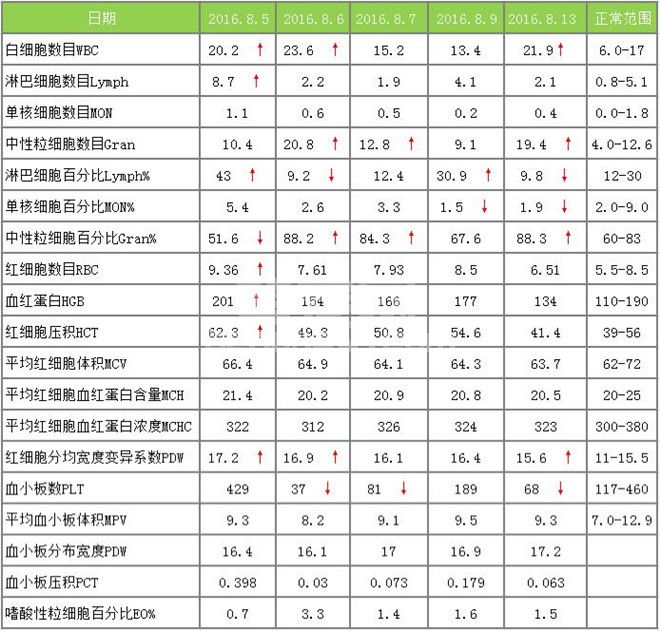 一例犬中暑分析治疗