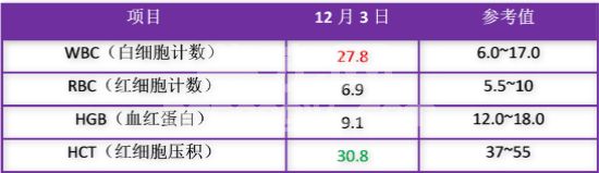 一例猫非胰岛素依赖型糖尿病的治疗报告