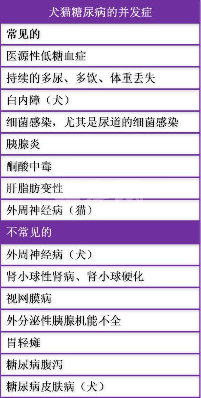 糖尿病（四）：治疗无酮糖尿病的动物