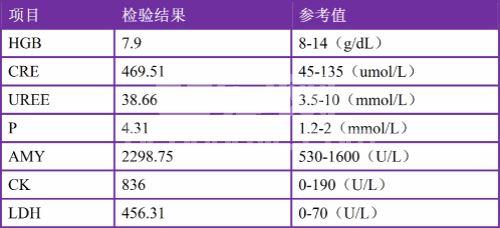 猫输尿管结石病例分析