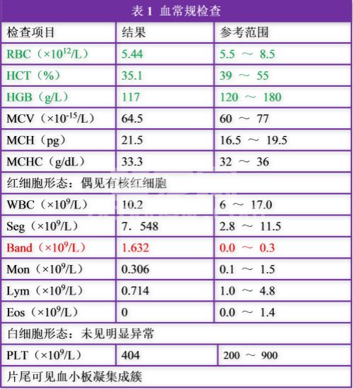 前列腺旁囊肿病例分析