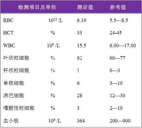 消化道内窥镜诊治犬胃炎及十二指肠溃疡