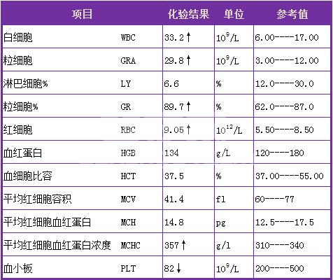 12例豹猫子宫蓄脓的保守疗法