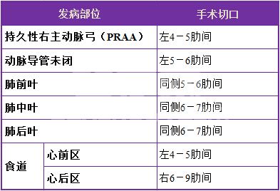 犬猫开胸术