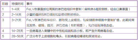 猫白血病病毒病