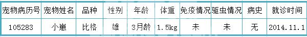 一例幼犬细小病毒感染引发肠套叠的诊断与治疗