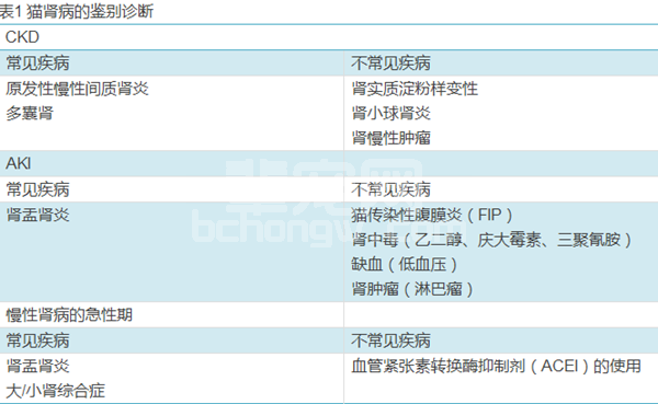 猫氮质血症的病例研究