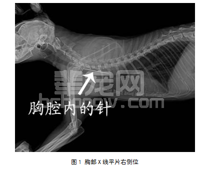 猫食针引起食道穿孔和胸膜腔积脓1例