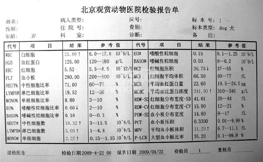 老龄犬膀胱结石和肾脏结石的病例分析