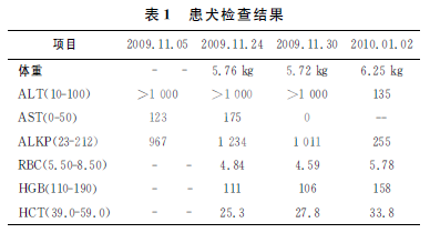 犬医源性库兴氏综合征病例