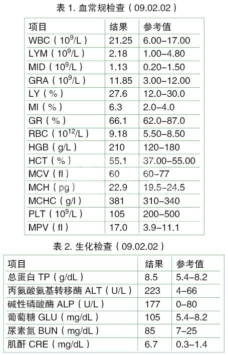 犬膀胱和肾脏结石病例的诊疗