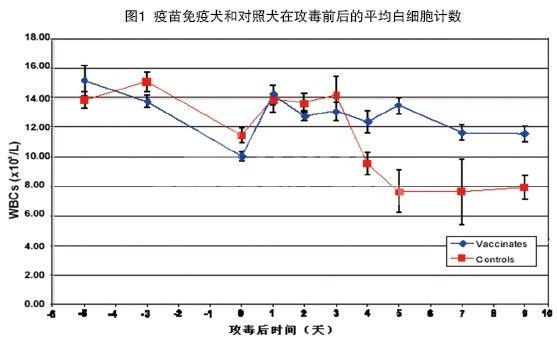 英特威犬细小病毒C154毒株对新分离2c型株攻毒犬的保护作用