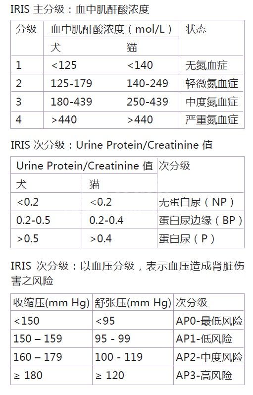 慢性肾病的治疗