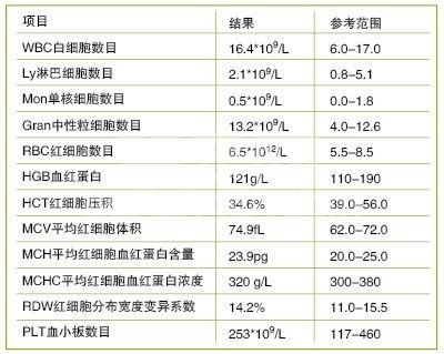 犬细小病毒感染并发胰腺炎的病例诊治报告