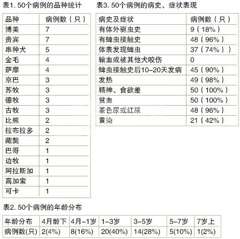 50例犬吉氏巴贝斯虫病的诊治