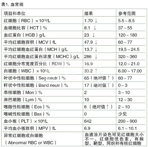 一例犬钩虫引起的严重贫血