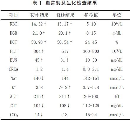 猫鞍状血栓1例