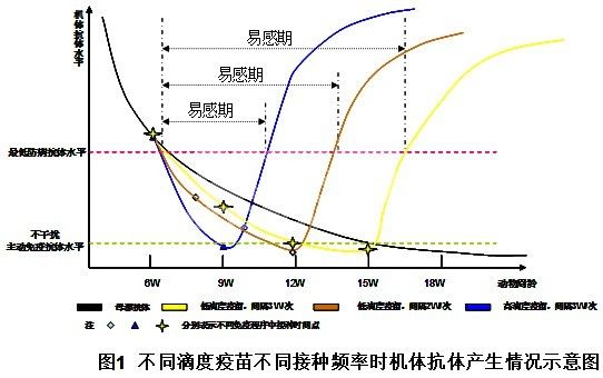 犬猫疫苗接种临床常见问题解析