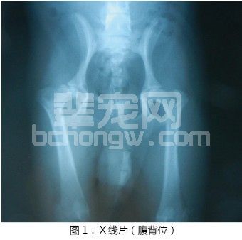 犬累-卡-佩氏病