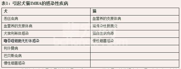 犬猫免疫介导性溶血性贫血